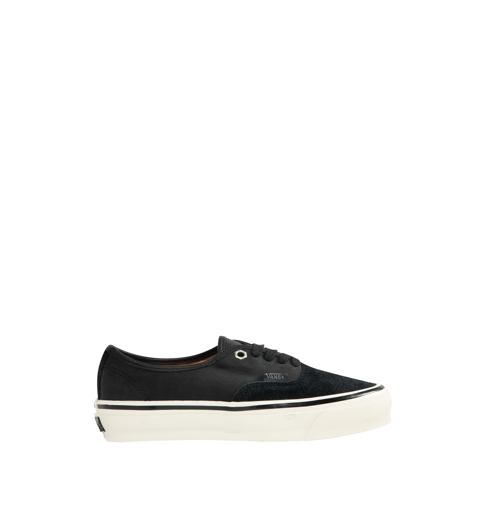 New Collections
